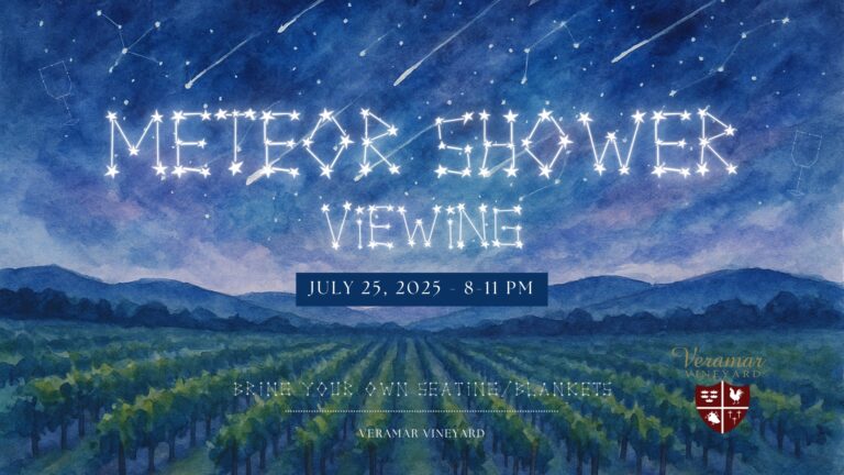 Meteor Shower Viewing