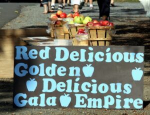 Shenandoah Valley Apple Harvest Festival
