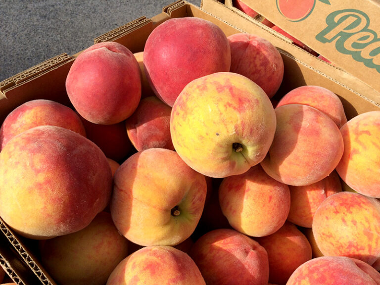 Marker-Miller Peach Festival