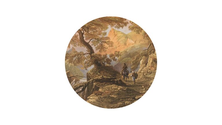 Around the World in Ten Trees