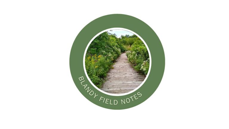Blandy Field Notes: Seed Dispersal
