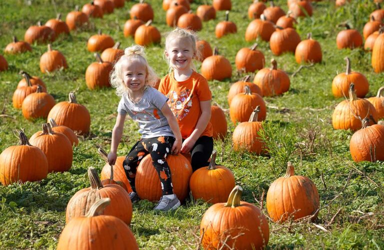 Pumpkin Festival