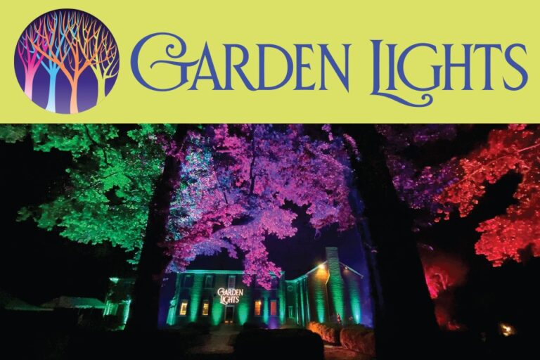 Garden Lights Garden Lights