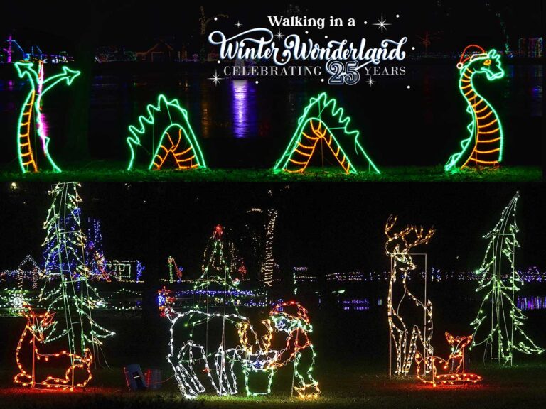 Walking in a Winter Wonderland