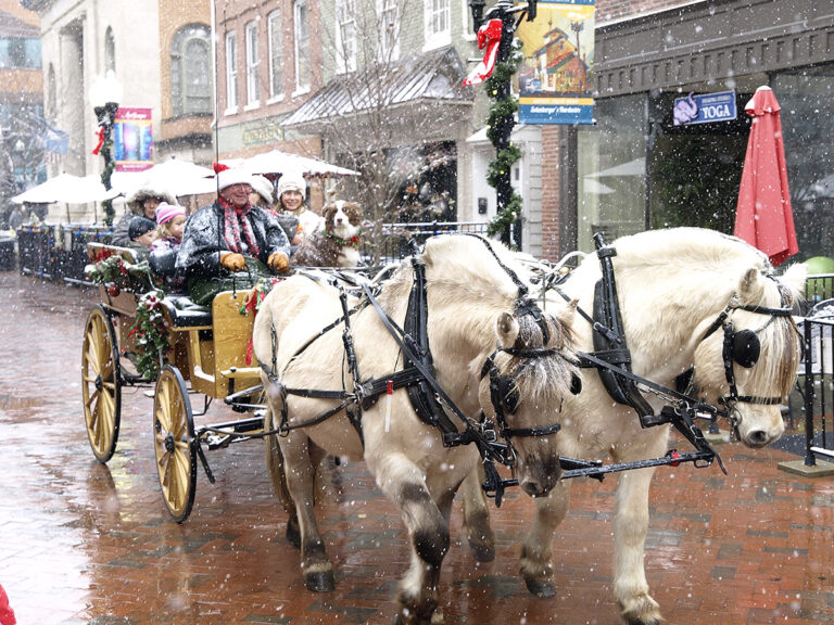 Horse Drawn Rides in Old Town Winchester Horse Drawn Rides in Old Town Winchester