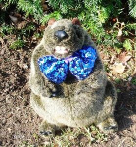 Groundhog Day Celebration