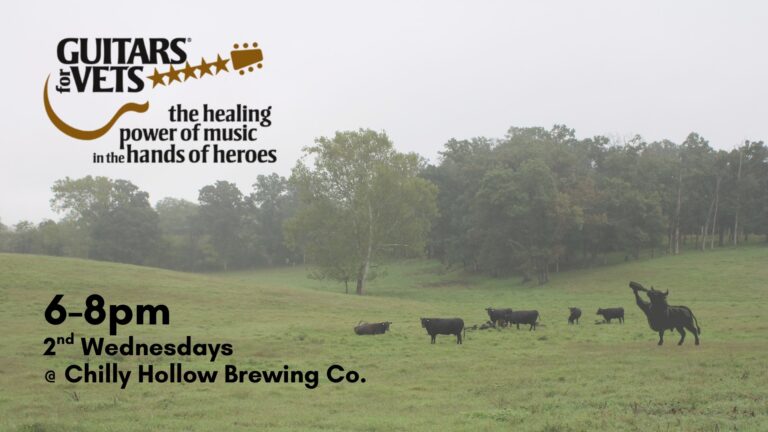 Guitars for Vets – Live Music at Chilly Hollow Brewing Co.