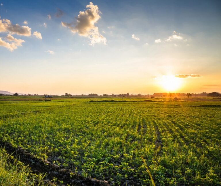 2026 Ag Expo 2026 Ag Expo