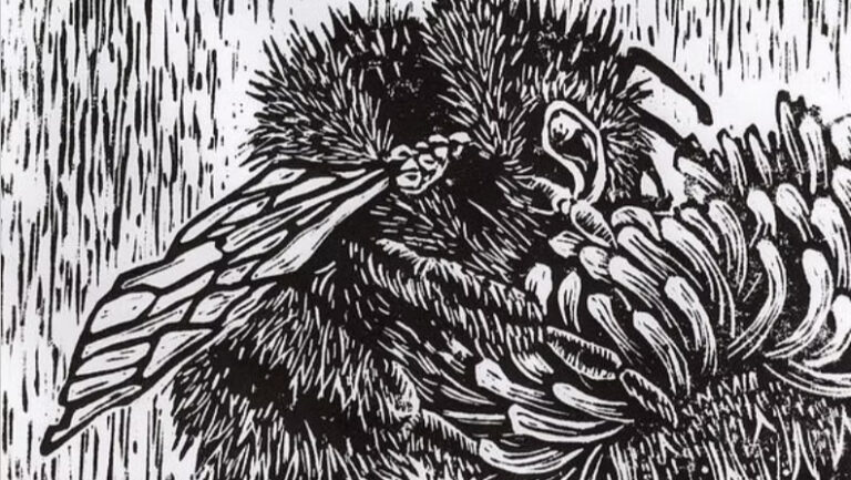 ShenArts Relief Printmaking Workshop ShenArts Relief Printmaking Workshop