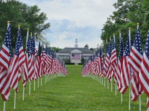 Healing Field of Honor