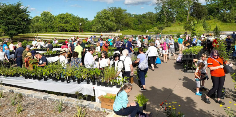 Plant Sale