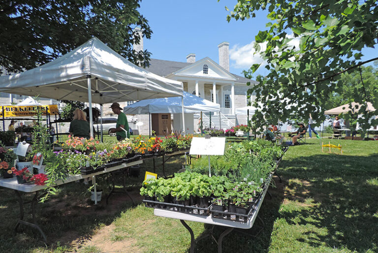 GardenFest GardenFest