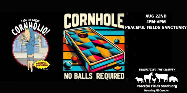 Cornhole For Charity Cornhole For Charity