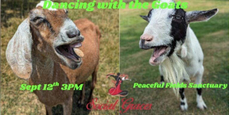 Dancing with the Goats at Peaceful Fields Sanctuary! Dancing with the Goats at Peaceful Fields Sanctuary!
