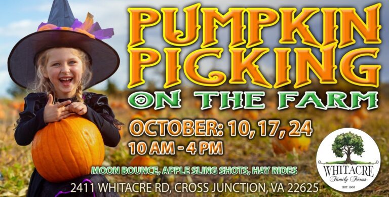 Pumpkin Picking & Fall Fun at Shawnee Springs Market Pumpkin Picking & Fall Fun at Shawnee Springs Market