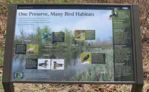 Abram’s Creek Nature Walk
