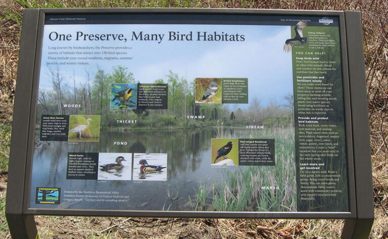 Abram’s Creek Nature Walk Abram’s Creek Nature Walk