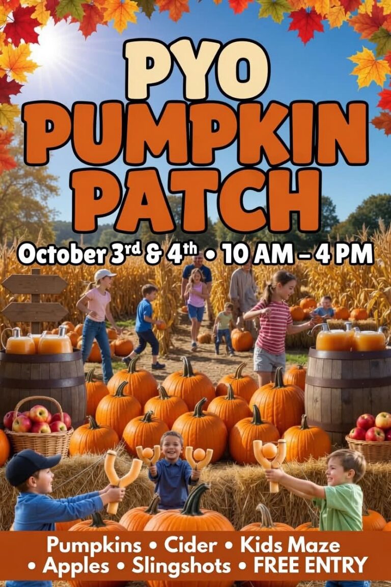 Pumpkin Palooza Pumpkin Palooza