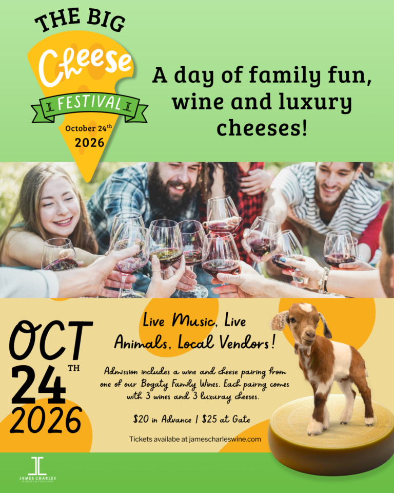The Big Cheese Festival The Big Cheese Festival